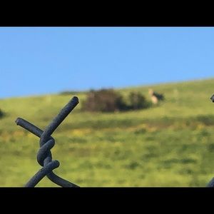 Meet your Posher, Gavin